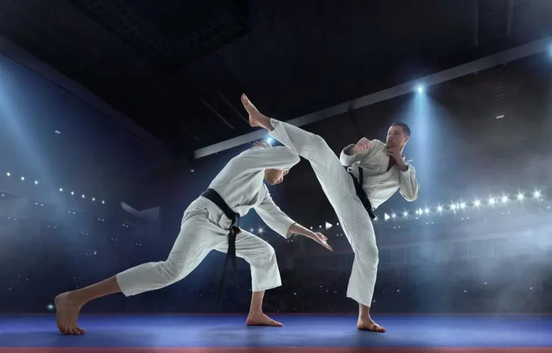 Bela diri karate