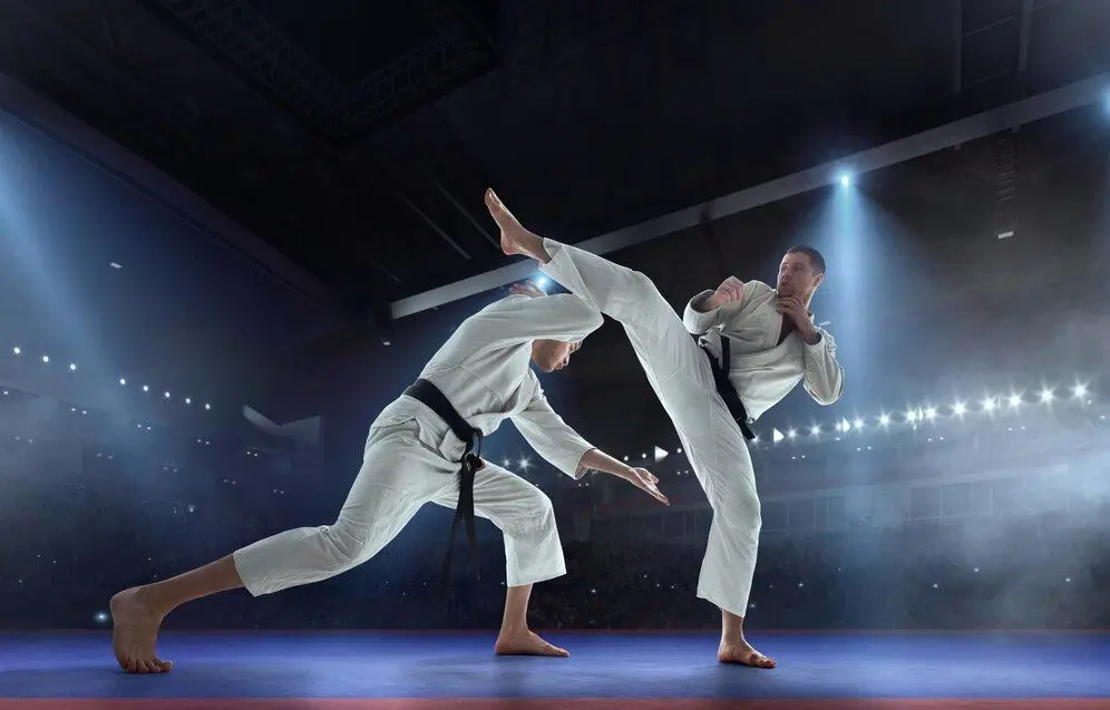 Bela diri karate
